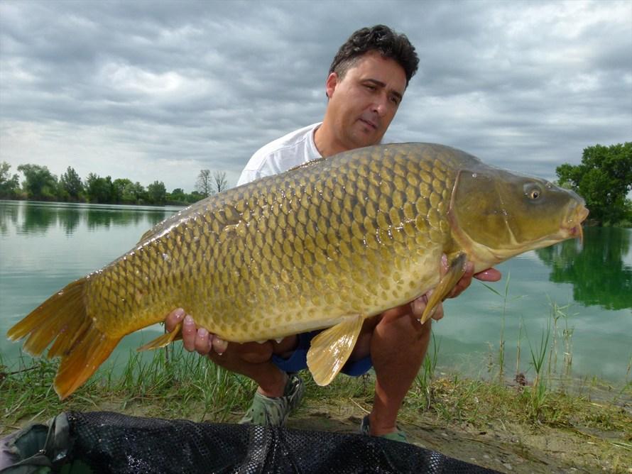 Bled Slovenia 24 - 29 iun. - p1030592.JPG